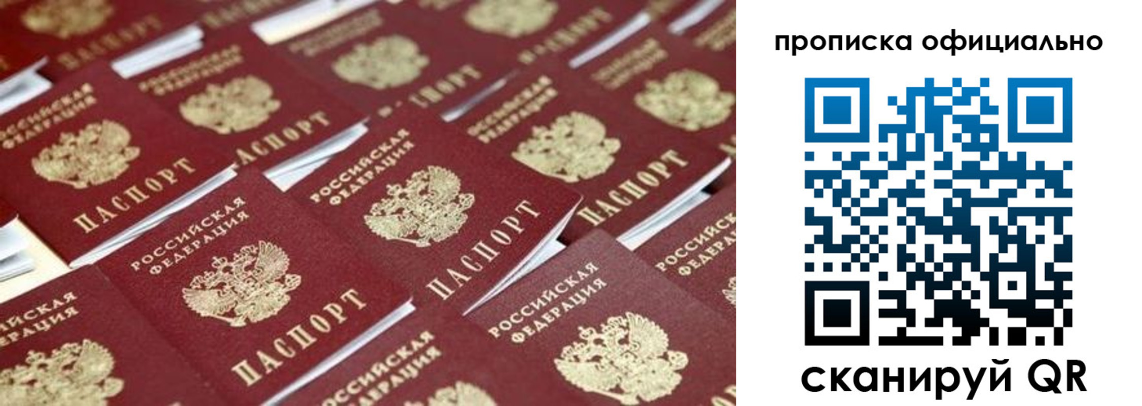 прописка гарантия в Кургане